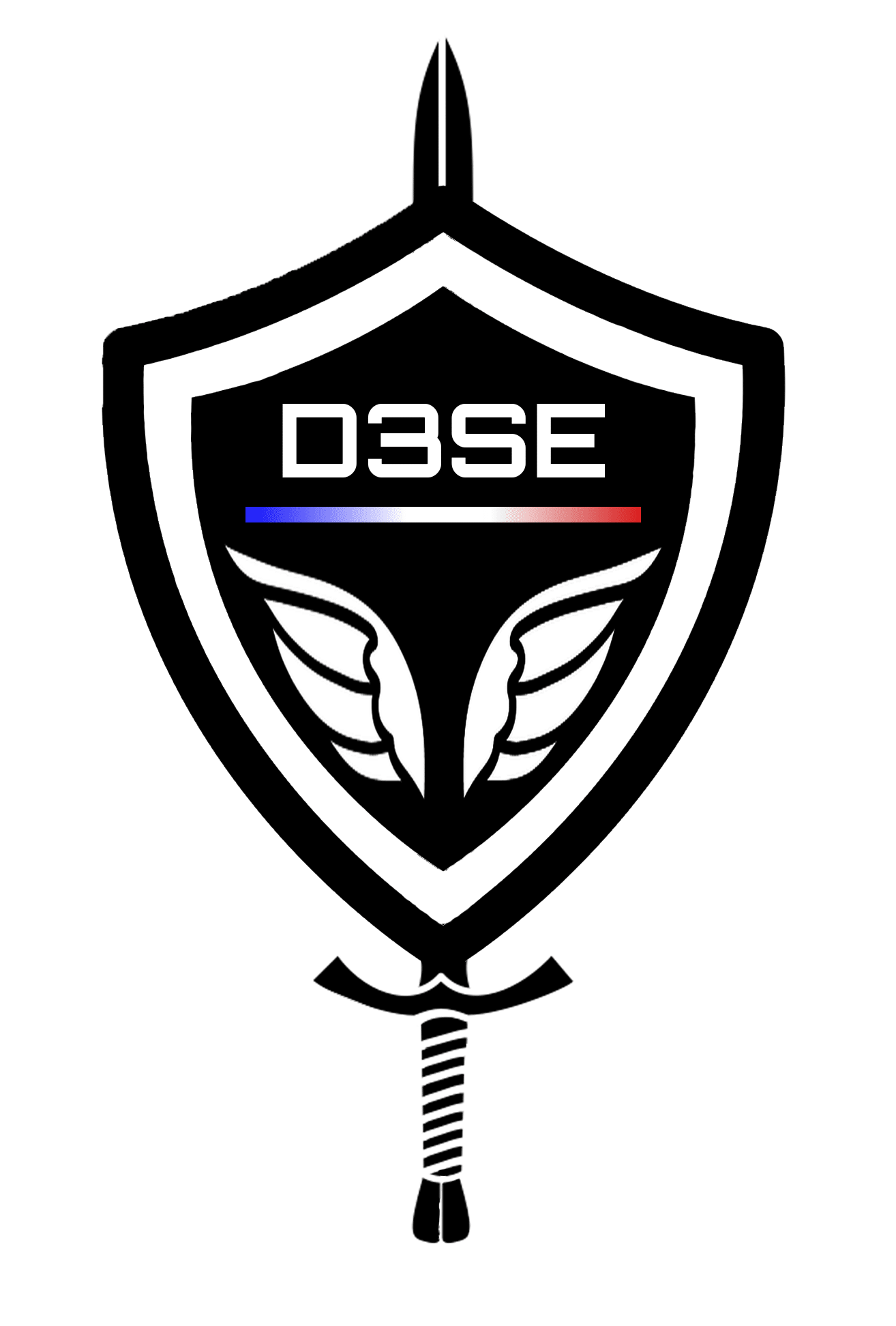 D3SE_logo